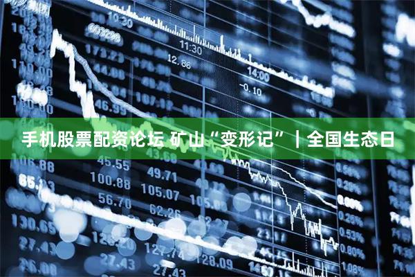 手机股票配资论坛 矿山“变形记”｜全国生态日